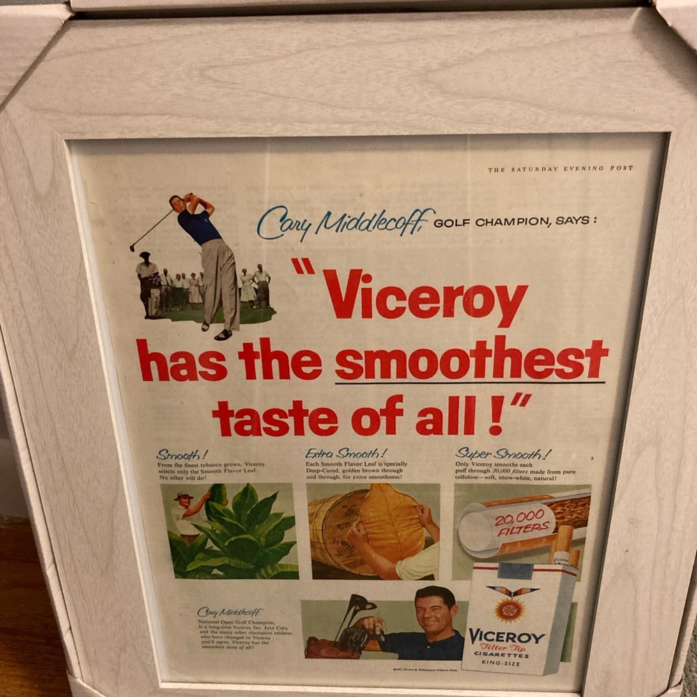 Brand new frame with vintage Viceroy print, 11x14 size in off white, glass frame